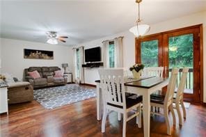 dining area featuring dark wood-type flooring