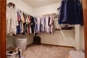 walk in closet with light carpet