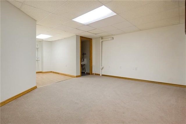 basement featuring carpet floors and a drop ceiling