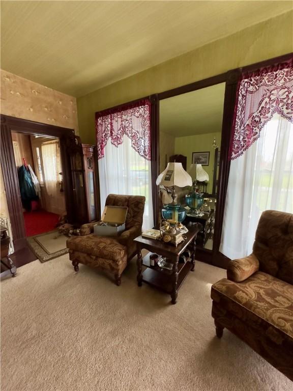 living area with carpet floors