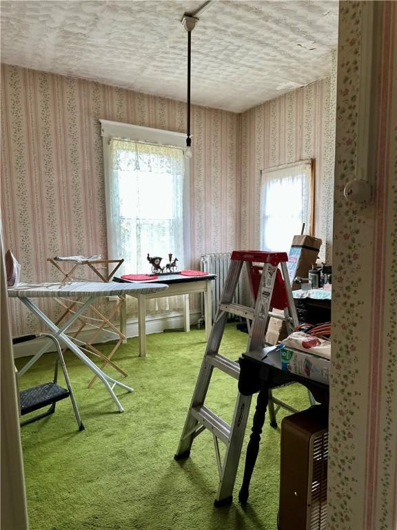 misc room featuring a textured ceiling, a healthy amount of sunlight, and carpet