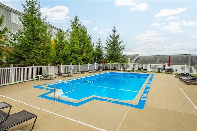 view of swimming pool with a patio