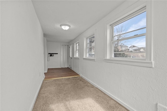 hallway with carpet