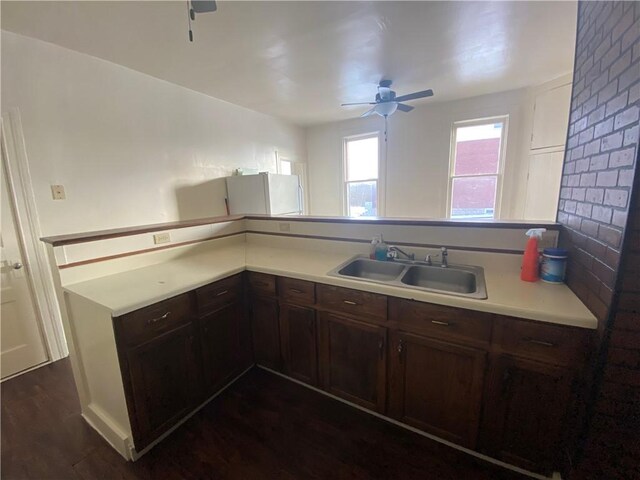 kitchen featuring dark brown cabinetry, sink, dark wood-type flooring, and ceiling fan