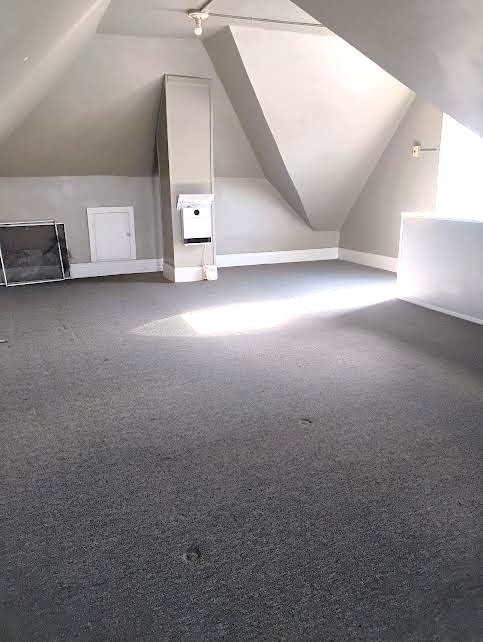 additional living space featuring vaulted ceiling and carpet flooring