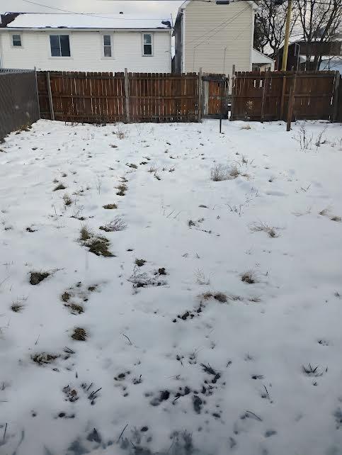 view of yard covered in snow