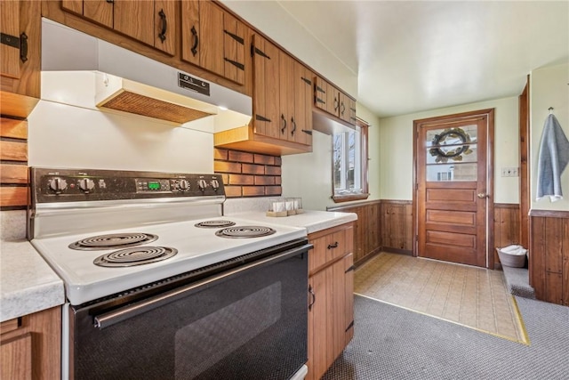 kitchen featuring range with electric stovetop and wooden walls