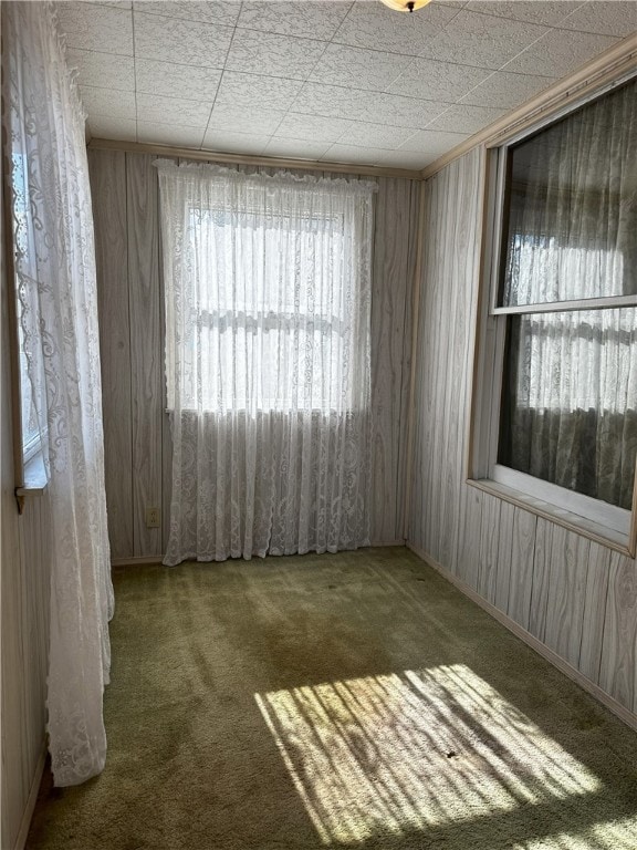 spare room featuring wood walls and carpet flooring