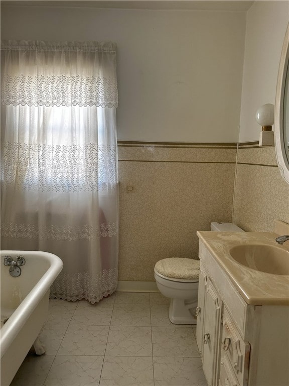 bathroom featuring vanity, toilet, and a bathing tub