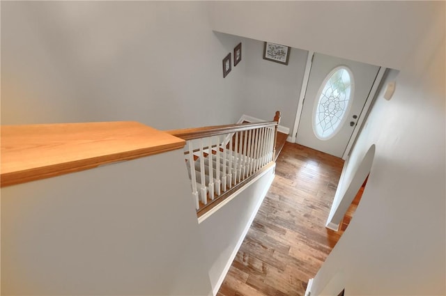 foyer entrance featuring hardwood / wood-style floors