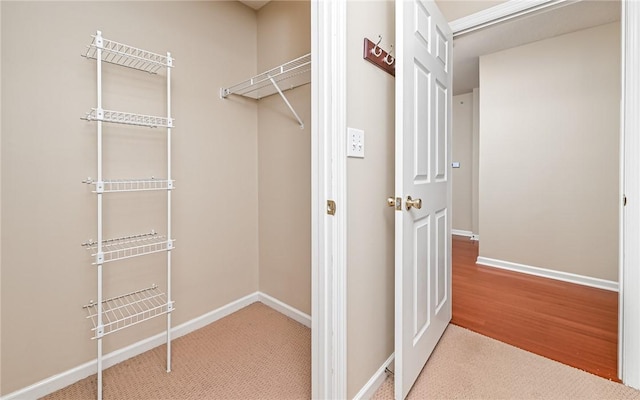 spacious closet with carpet floors