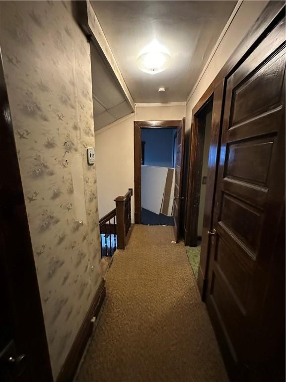 hallway featuring carpet flooring