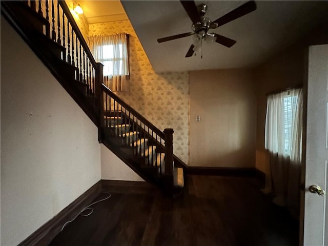 staircase with ceiling fan and hardwood / wood-style floors