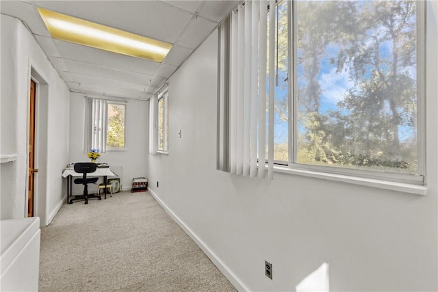 hallway featuring light carpet and a drop ceiling