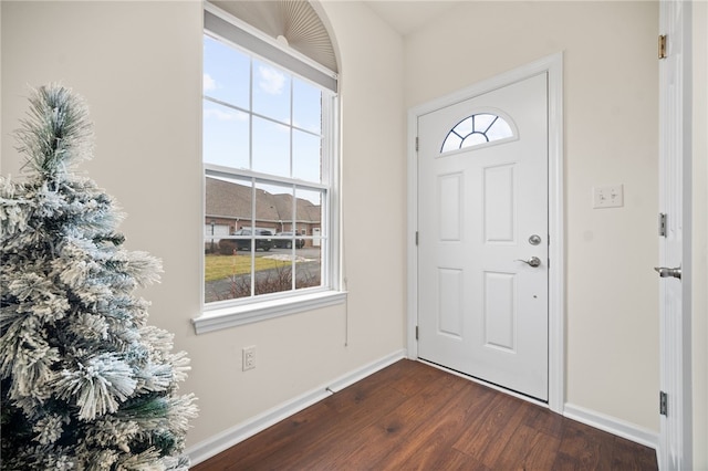 entryway featuring dark hardwood / wood-style flooring