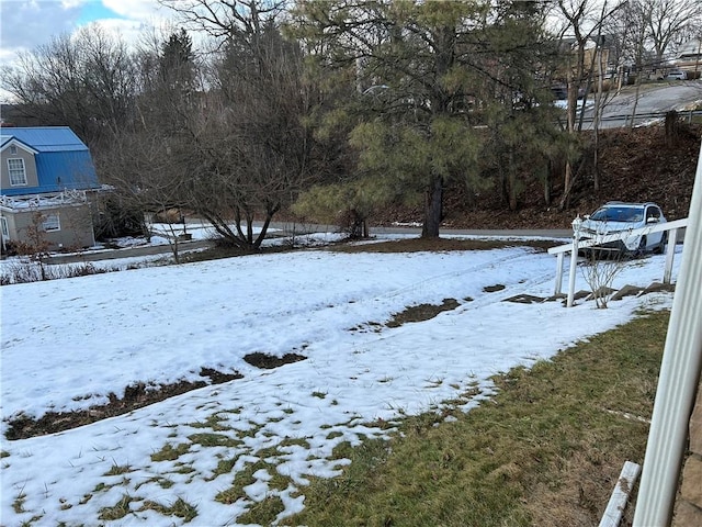 view of snowy yard