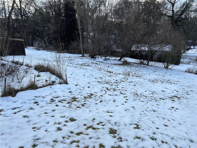 view of yard covered in snow