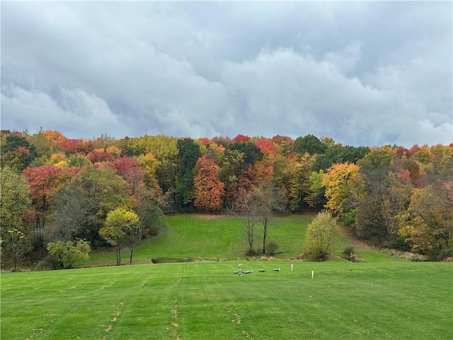 view of property's community featuring a yard