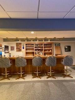 bar featuring carpet floors and a drop ceiling