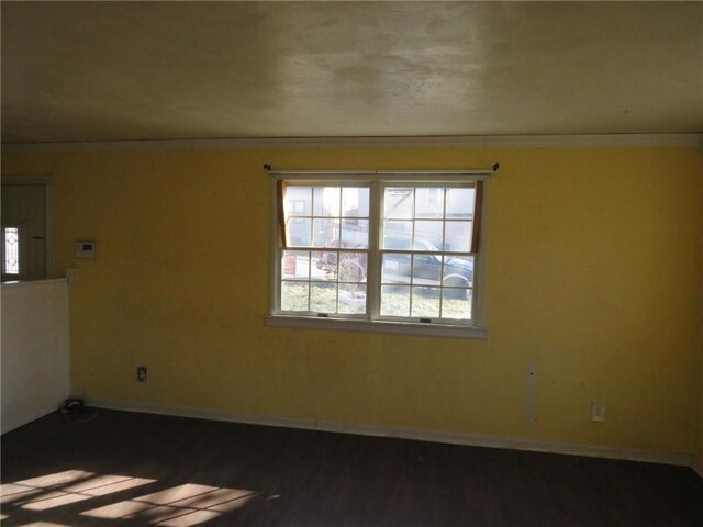 spare room with ornamental molding and dark hardwood / wood-style floors