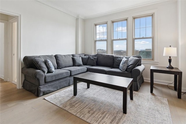 living room with crown molding and light hardwood / wood-style flooring