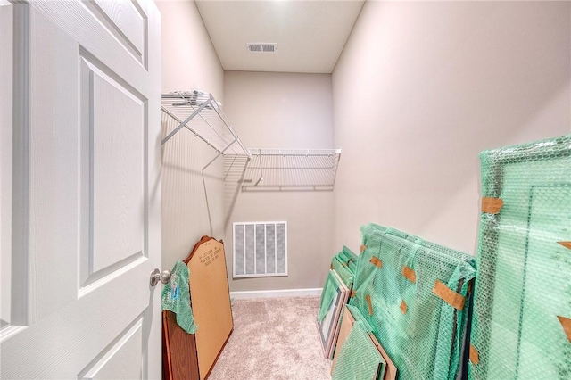 spacious closet featuring light carpet