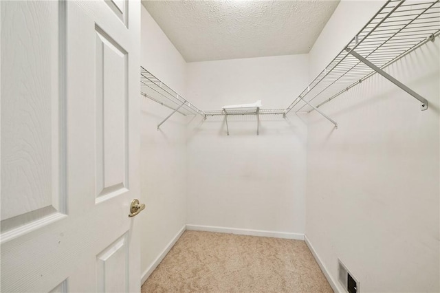 spacious closet with light colored carpet