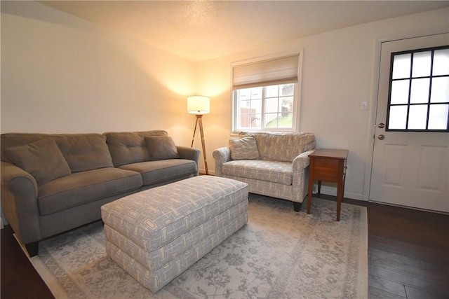 living room featuring hardwood / wood-style flooring