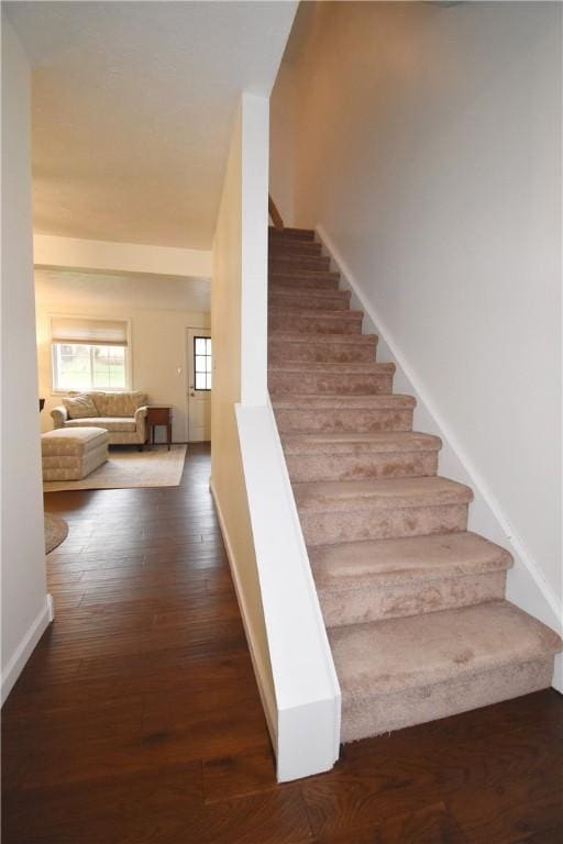 staircase featuring wood-type flooring