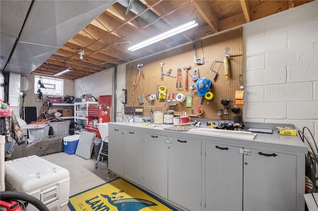 basement with a workshop area