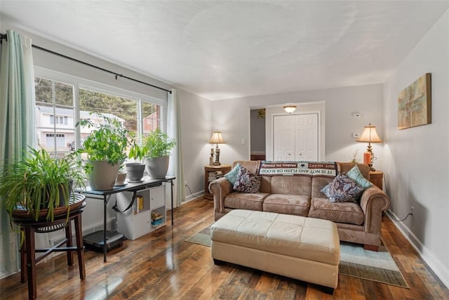 living room featuring dark wood-type flooring