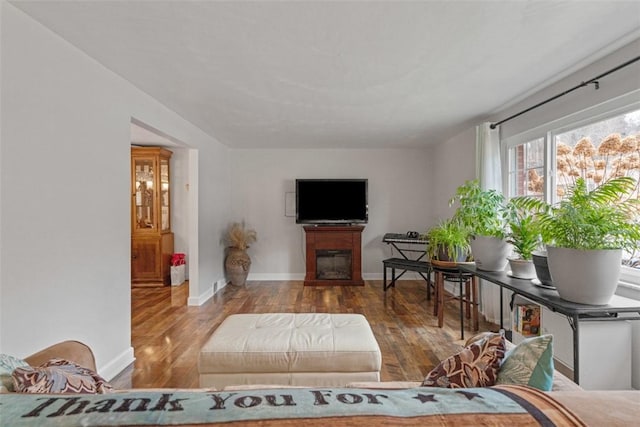 living room with hardwood / wood-style flooring