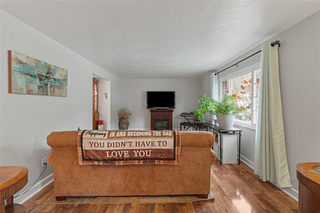 living room featuring wood-type flooring