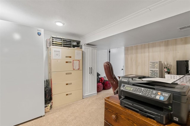 interior space featuring ornamental molding, light colored carpet, and a textured ceiling