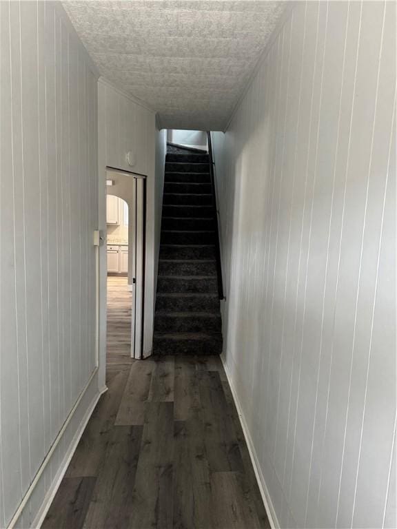 hallway with dark hardwood / wood-style flooring