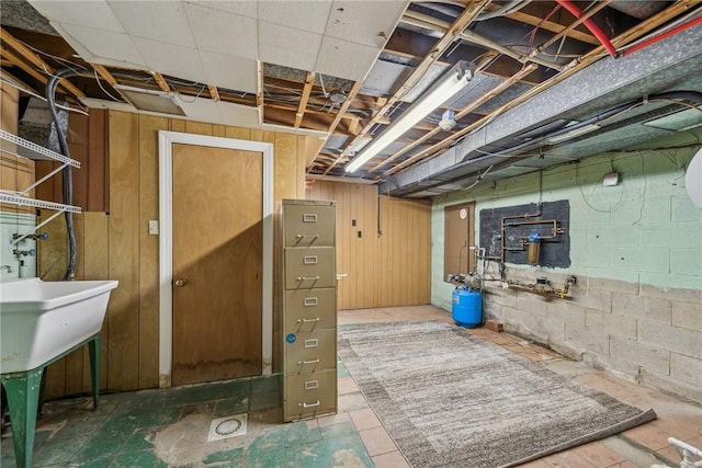 basement featuring wooden walls