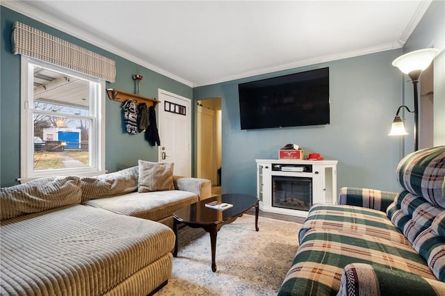 living room featuring crown molding and light hardwood / wood-style flooring