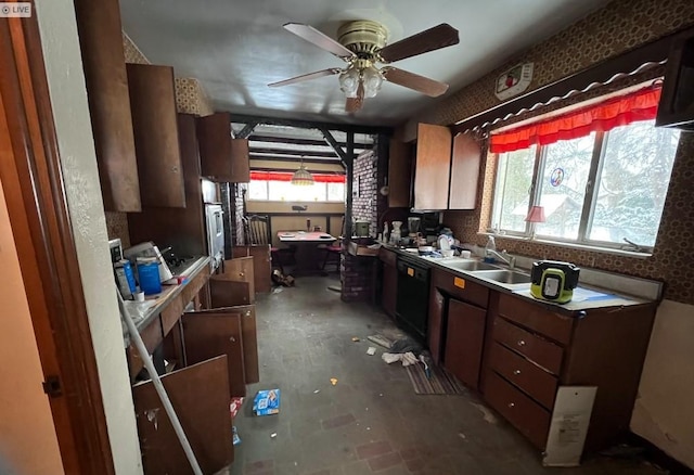 kitchen featuring sink, black dishwasher, and ceiling fan