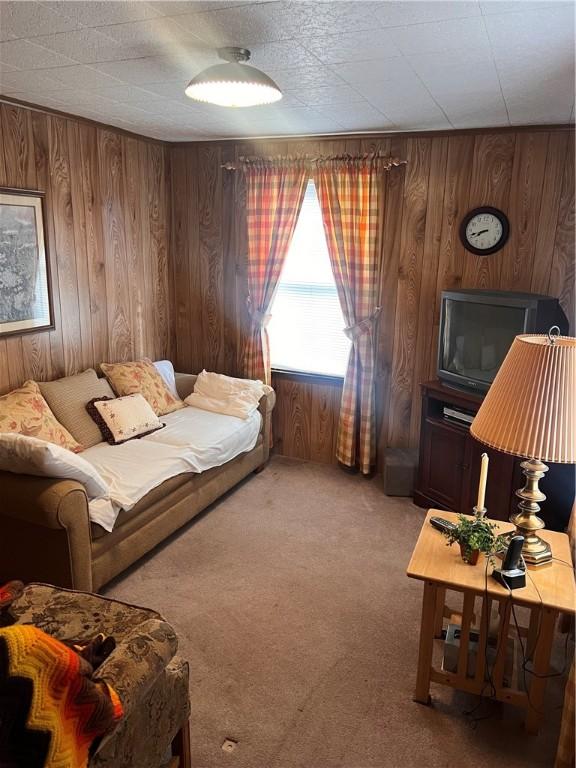 interior space featuring carpet and wood walls