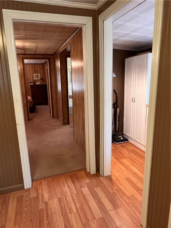 hallway featuring ornamental molding, light hardwood / wood-style floors, and wood walls