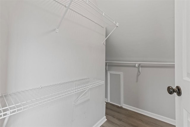 spacious closet with dark wood-type flooring