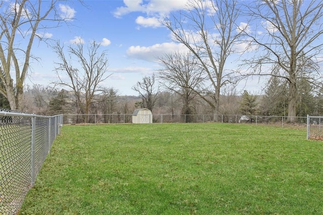 view of yard featuring a shed