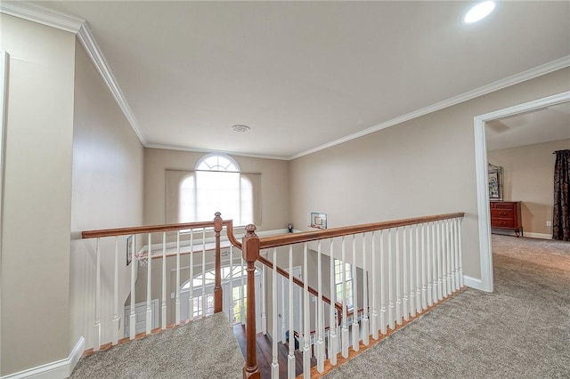 corridor featuring crown molding and carpet floors