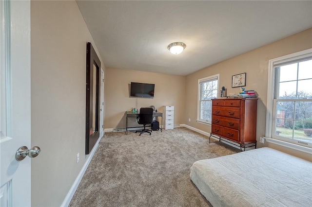 bedroom featuring carpet floors and multiple windows