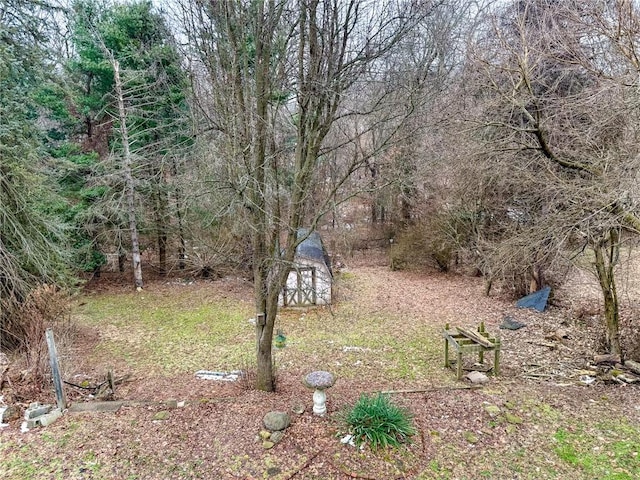 view of yard with a storage shed