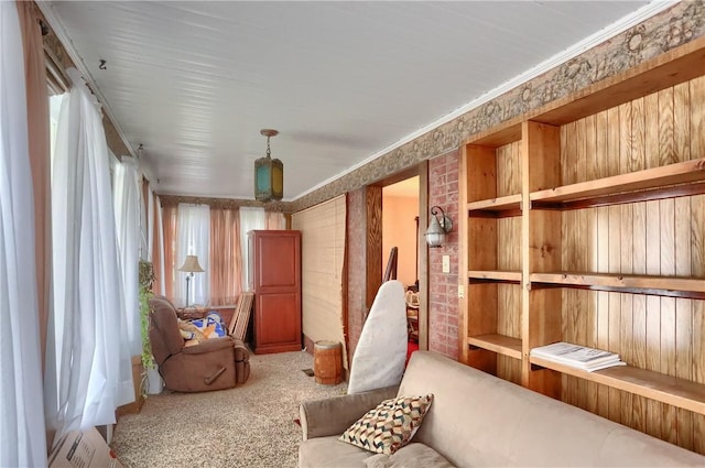 miscellaneous room featuring crown molding and carpet floors