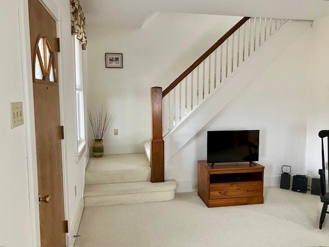 staircase featuring carpet floors