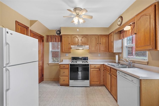 kitchen featuring ceiling fan, sink, light tile patterned floors, and white appliances