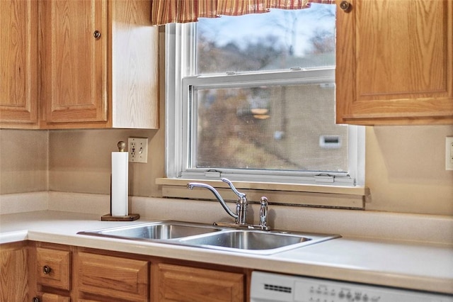 kitchen with white dishwasher and sink