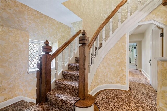 430 Woodland Rd, Edgeworth, PA 15143 - stairs featuring wallpapered walls, baseboards, and carpet flooring